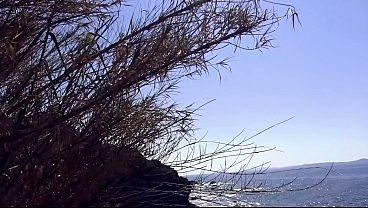 Monica Del Rey Wonderful Shaped Anal Slut On The Beach