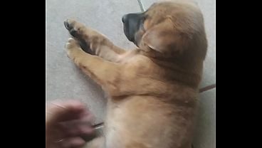 Verification video
