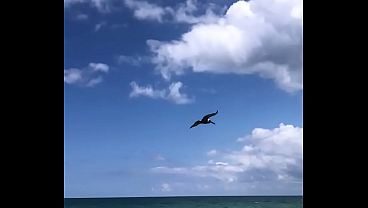 BEACH DAY