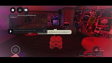 Verification video