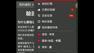 验证视频