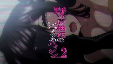 野々原柚花のヒミツのハイシン２