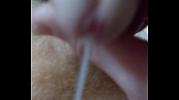 Morning Milk
