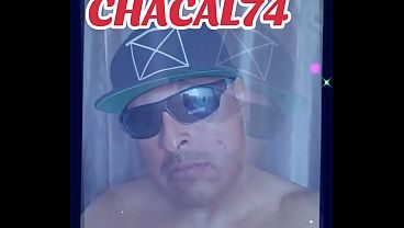 Pelon