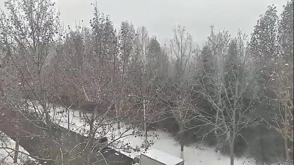 验证视频
