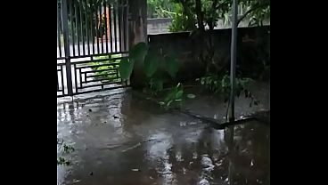Video xác minh