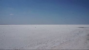 White Salt of Desert